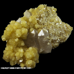 Mineral Specimen: Yellow Muscovite, Quartz from Minas Gerais, Brazil Mineral Specimen: Yellow Muscovite, Quartz from Minas Gerais, Brazil
