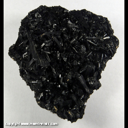 Mineral Specimen: Schorl Tourmaline from Mineville District, Essex Co., New York Mineral Specimen: Schorl Tourmaline from Mineville District, Essex Co., New York
