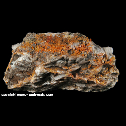 Mineral Specimen: Vanadinite, Descloizite, Calcite from Prince of Arizona Mine, Baldy Mountain, Pikes Peak Dist., Maricopa Co., Arizona Mineral Specimen: Vanadinite, Descloizite, Calcite from Prince of Arizona Mine, Baldy Mountain, Pikes Peak Dist., Maricopa Co., Arizona