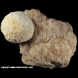 Mineral Specimen: Mordenite on Stilbite from Nasik, Maharastra, India Mineral Specimen: Mordenite on Stilbite from Nasik, Maharastra, India