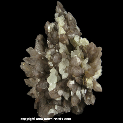Minerals Specimen: Datolite Crystals and Smoky Quartz with Pseudomorphic Casts after Calcite from Bor Pit (Boron Pit), Dal'negorsk B deposit, Dal'negorsk, Primorskiy Kray, Far-Eastern Region, Russia
