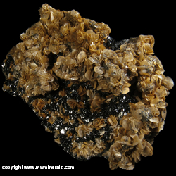 Mineral Specimen: Spahlerite variety: Marmatite, Siderite, minor Pyrite from Eagle Mine, Gilman district, Eagle Co., Colorado Mineral Specimen: Spahlerite variety: Marmatite, Siderite, minor Pyrite from Eagle Mine, Gilman district, Eagle Co., Colorado
