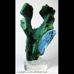 Mineral Specimen: Shattuckite, Malachite from Kaokoveld Plateau, Kunene Region, Namibia Mineral Specimen: Shattuckite, Malachite from Kaokoveld Plateau, Kunene Region, Namibia