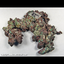 Mineral Specimen: Copper Crystals ,Cuprite Crystals, Malachite and Calcite from Highway 17 Roadcut, Mamainse Point area, Algoma District, Ontario, Canada Mineral Specimen: Copper Crystals ,Cuprite Crystals, Malachite and Calcite from Highway 17 Roadcut, Mamainse Point area, Algoma District, Ontario, Canada