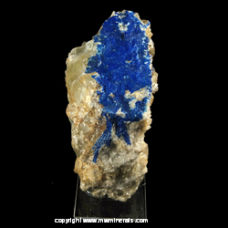 Mineral Specimen: Linarite, Quartz, Fluorite, Galena from Blanchard Mine, Bingham, Hansonburg District, Socorro Co., New Mexico Mineral Specimen: Linarite, Quartz, Fluorite, Galena from Blanchard Mine, Bingham, Hansonburg District, Socorro Co., New Mexico