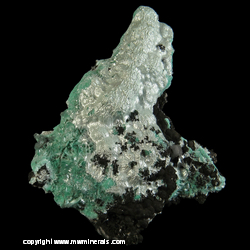 Minerals Specimen: Aurichalcite from 79 Mine, Hayden, Gila Co,  Arizona