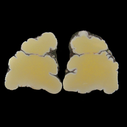 Mineral Specimen: Yellow Datolite from Keweenaw Point, High Rock Bay area, Keweenaw Co., Michigan Mineral Specimen: Yellow Datolite from Keweenaw Point, High Rock Bay area, Keweenaw Co., Michigan