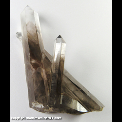 Mineral Specimen: Phantom Smoky Quartz from Smokey Bear, Sierra Blanca, White Mountain Wilderness, Sacramento Mts, Lincoln Co., New Mexico Mineral Specimen: Phantom Smoky Quartz from Smokey Bear, Sierra Blanca, White Mountain Wilderness, Sacramento Mts, Lincoln Co., New Mexico