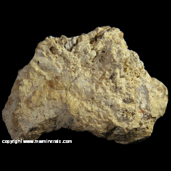 Mineral Specimen: Bismite variety: Wismuthokker (Bismuth Ocher) from Schneeberg District, Erzgebirge, Saxony, Germany Mineral Specimen: Bismite variety: Wismuthokker (Bismuth Ocher) from Schneeberg District, Erzgebirge, Saxony, Germany