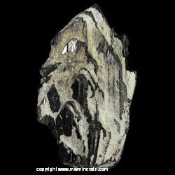 Mineral Specimen: Ferberite (Wolframite), Quartz from Tae Hwa Mine, Neungam-ri, Angseong-myeon, Chungju, Chungcheongbukdo, South Korea