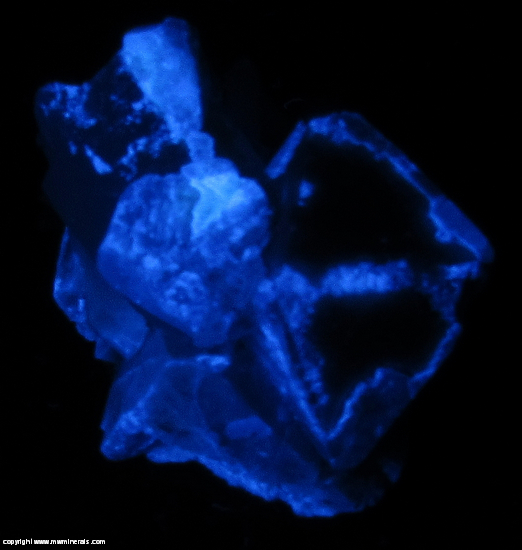 Fluorescent Mineral Specimen: Scheelite, Quartz from Tae Hwa Mine, Neungam-ri, Angseong-myeon, Chungju, Chungcheongbukdo, South Korea Fluorescent Mineral Specimen: Scheelite, Quartz from Tae Hwa Mine, Neungam-ri, Angseong-myeon, Chungju, Chungcheongbukdo, South Korea