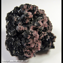 Mineral Specimen: Rhodochrosite on Manganite from N'Chwaning I Mine, Kuruman, Kalahari manganese fields, Northern Cape Province, South Africa Mineral Specimen: Rhodochrosite on Manganite from N'Chwaning I Mine, Kuruman, Kalahari manganese fields, Northern Cape Province, South Africa