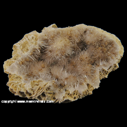 Mineral Specimen: Geode with Kutnohortite on Aragonite from Valdarno, Arezzo Province, Tuscany, Italy Mineral Specimen: Geode with Kutnohortite on Aragonite from Valdarno, Arezzo Province, Tuscany, Italy