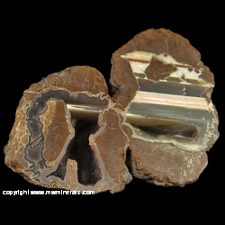 Mineral Specimen: Double Chambered Thunderegg (unpolished) from Richardson Ranch (Priday Ranch), Madras, Jefferson Co., Oregon Mineral Specimen: Double Chambered Thunderegg (unpolished) from Richardson Ranch (Priday Ranch), Madras, Jefferson Co., Oregon