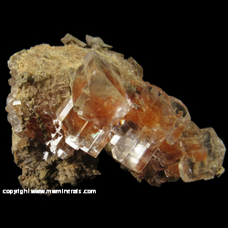 Mineral Specimen: Selenite on Red Gypsum from Grand Rapids Gypsum Mine, Michigan Natural Storage, Wyoming, Kent Co., Michigan Mineral Specimen: Selenite on Red Gypsum from Grand Rapids Gypsum Mine, Michigan Natural Storage, Wyoming, Kent Co., Michigan