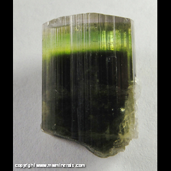 Mineral Specimen: Tourmaline from Stak Nala, Haramosh Mts., Skardu Dist., Baltistan, Gilgit-Baltistan (Northern Areas), Pakistan Mineral Specimen: Tourmaline from Stak Nala, Haramosh Mts., Skardu Dist., Baltistan, Gilgit-Baltistan (Northern Areas), Pakistan