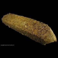 Minerals Specimen: Large Baveno Twin Feldspar Crystal from Unknown Location
