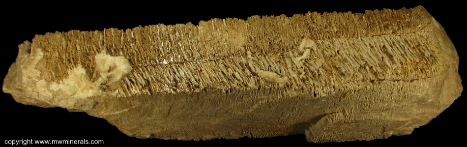 Mineral Specimen: Large Baveno Twin Feldspar Crystal from Unknown Location