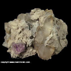 Mineral Specimen: Zoned Fluorite, Calcite from Auglaize Quarry, Defiance, Ohio Mineral Specimen: Zoned Fluorite, Calcite from Auglaize Quarry, Defiance, Ohio