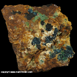 Minerals Specimen: Clinoclase, Cornwallite from Mylar Mine, Majuba Hill, Pershing Co., Nevada Minerals Specimen: Clinoclase, Cornwallite from Mylar Mine, Majuba Hill, Pershing Co., Nevada