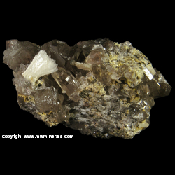 Mineral Specimen: Bertrandite, Pyrite, Smoky Quartz, Rhodochrosite Included in Quartz, Muscovite from Kara-Oba W deposit, Betpakdala Desert, Karagandy Province, Kazakhstan Mineral Specimen: Bertrandite, Pyrite, Smoky Quartz, Rhodochrosite Included in Quartz, Muscovite from Kara-Oba W deposit, Betpakdala Desert, Karagandy Province, Kazakhstan
