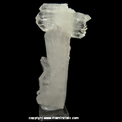 Mineral Specimen: Solution Quartz from Jeffrey Quarry, Pulaski Co., Arkansas Mineral Specimen: Solution Quartz from Jeffrey Quarry, Pulaski Co., Arkansas