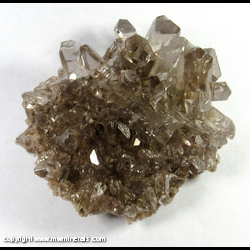 Mineral Specimen: Barite Cluster from Linwood Quarry, Buffalo, Scott Co, Iowa Mineral Specimen: Barite Cluster from Linwood Quarry, Buffalo, Scott Co, Iowa