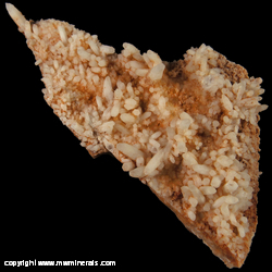 Mineral Specimen: Quartz Plate with a Pseudomophic Cast on the Bottom from Grant Co., New Mexico Mineral Specimen: Quartz Plate with a Pseudomophic Cast on the Bottom from Grant Co., New Mexico
