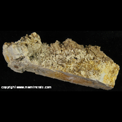 Mineral Specimen: Natrolite variety: Yellow Tallow on Feldspar from Mont Saint-Hilaire, Quebec, Canada Mineral Specimen: Natrolite variety: Yellow Tallow on Feldspar from Mont Saint-Hilaire, Quebec, Canada