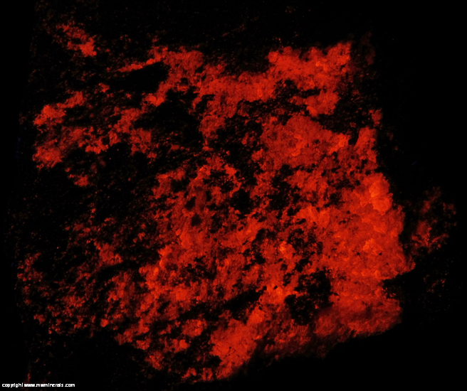 Fluorescent Mineral Specimen: Hedyphane, Calcite from Langban, Varmland, Sweden Fluorescent Mineral Specimen: Hedyphane, Calcite from Langban, Varmland, Sweden