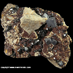 Mineral Specimen: Sphalerite varieties: Rubyjack and Marmatite, Galena, Druze Quartz, Chert from Picher Field, Tri-State District, Ottawa Co., Oklahoma