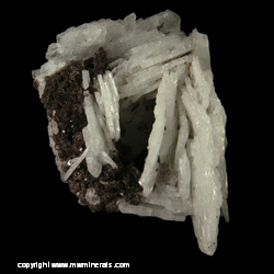 Mineral Specimen: Albite variety: Clevelandite, Lepidolite from Sao Jose da Safira, Doce valley, Minas Gerais, Brazil Mineral Specimen: Albite variety: Clevelandite, Lepidolite from Sao Jose da Safira, Doce valley, Minas Gerais, Brazil