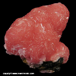 Mineral Specimen: Rhodochrosite from N'Chwaning II Mine, Kuruman, Kalahari manganese fields, Northern Cape Province, South Africa Mineral Specimen: Rhodochrosite from N'Chwaning II Mine, Kuruman, Kalahari manganese fields, Northern Cape Province, South Africa