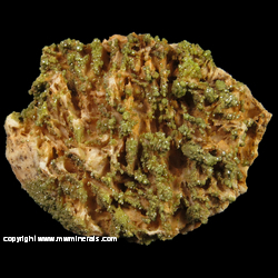 Mineral Specimen: Mimetite on Barite from Driggeth Mine, Caldbeck Fells, Cumbia, England Mineral Specimen: Mimetite on Barite from Driggeth Mine, Caldbeck Fells, Cumbia, England