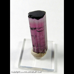 Mineral Specimen: Red Violet Colored Tourmaline from Cruziero Mine, Sao Jose da Safira, Minas Gerais, Brazil Mineral Specimen: Red Violet Colored Tourmaline from Cruziero Mine, Sao Jose da Safira, Minas Gerais, Brazil