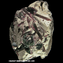 Mineral Specimen: Bicolor Tourmaline in Quartz from Coronel Murta, Minas Gerais, Brazil Mineral Specimen: Bicolor Tourmaline in Quartz from Coronel Murta, Minas Gerais, Brazil