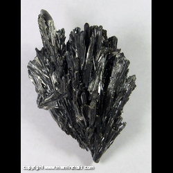Mineral Specimen: Stibnite from Wuling Mine, Qingjiang, Wuning County, Jiujiang Prefecture, Jiangxi Province, China
