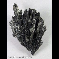 Minerals Specimen: Stibnite from Wuling Mine, Qingjiang, Wuning County, Jiujiang Prefecture, Jiangxi Province, China