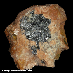 Mineral Specimen: Molybdenite, Microcline from Highway 62 north roadcut, Monteagle Twp., Hastings Co., Ontario, Canada Mineral Specimen: Molybdenite, Microcline from Highway 62 north roadcut, Monteagle Twp., Hastings Co., Ontario, Canada