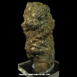 Mineral Specimen: Botryoidal Stalactic Pyrite from Black Jack Mine, Galena, Jo Daviess Co., Illinois