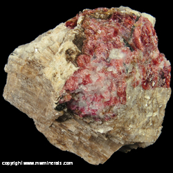 Mineral Specimen: Agrellite (TL), Eudialyite, minor Fluorite with likely Thorite from Kipawa alkaline complex, Les Lacs-du-Temiscamingue, Temiscamingue RCM, Abitibi-Temiscamingue, Quebec, Canada Mineral Specimen: Agrellite (TL), Eudialyite, minor Fluorite with likely Thorite from Kipawa alkaline complex, Les Lacs-du-Temiscamingue, Temiscamingue RCM, Abitibi-Temiscamingue, Quebec, Canada