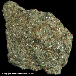Mineral Specimen: Eclogite - Granets in Omphacite from Berkeley Hills, Alameda Co., California Mineral Specimen: Eclogite - Granets in Omphacite from Berkeley Hills, Alameda Co., California