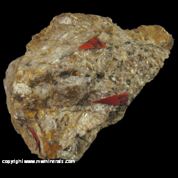 Mineral Specimen: Magnesioferrite, Pyrochlore group variety: Koppite, Apatite variety: Cerapatite from Orberg Quarry, Schelingen, Kaiserstuhl, Baden-Wurttemberg, Germany