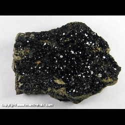 Mineral Specimen: Melanite Garnet (Titanium Rich Andradite) from New Idria District, Diablo Range, San Benito Co., California