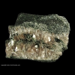 Minerals Specimen: Margarite from Chester Emery Mines, Hampden County, Massachusetts, USA