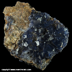 Mineral Specimen: Deep Blue Fluorite from Galena King Mine, Coyote Canyon, Tijeras Canyon Dist., Bernalillo Co., New Mexico Mineral Specimen: Deep Blue Fluorite from Galena King Mine, Coyote Canyon, Tijeras Canyon Dist., Bernalillo Co., New Mexico