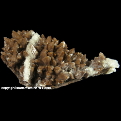 Mineral Specimen: Chocolate Calcite and Selenite from Santa Eulalia District, Mun. de Aquiles Serdan, Chihuahua, Mexico Mineral Specimen: Chocolate Calcite and Selenite from Santa Eulalia District, Mun. de Aquiles Serdan, Chihuahua, Mexico