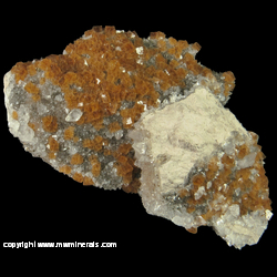 Mineral Specimen: Fluorite with Inlcuded Marcasite, Calcite, Pyrite from Pints Quarry, Raymond, Black Hawk Co., Iowa Mineral Specimen: Fluorite with Inlcuded Marcasite, Calcite, Pyrite from Pints Quarry, Raymond, Black Hawk Co., Iowa