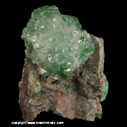 Mineral Specimen: Malachite Included in Calcite from Southwest Mine, Bisbee, Warren District, Mule Mts, Cochise Co., Arizona Mineral Specimen: Malachite Included in Calcite from Southwest Mine, Bisbee, Warren District, Mule Mts, Cochise Co., Arizona