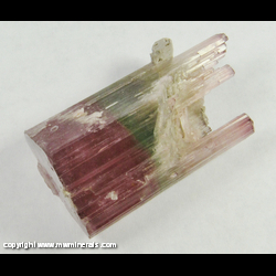 Mineral Specimen: Tourmaline from Himalaya Mine, San Diego Co., California Mineral Specimen: Tourmaline from Himalaya Mine, San Diego Co., California